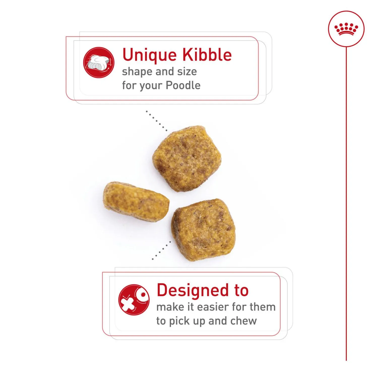 Breed Health Nutrition Poodle Adult Dog Food