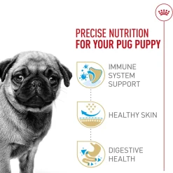 Breed Health Nutrition Pug Puppy Dog Food