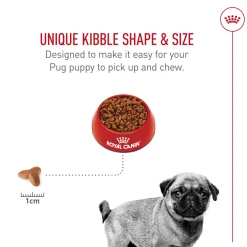 Breed Health Nutrition Pug Puppy Dog Food