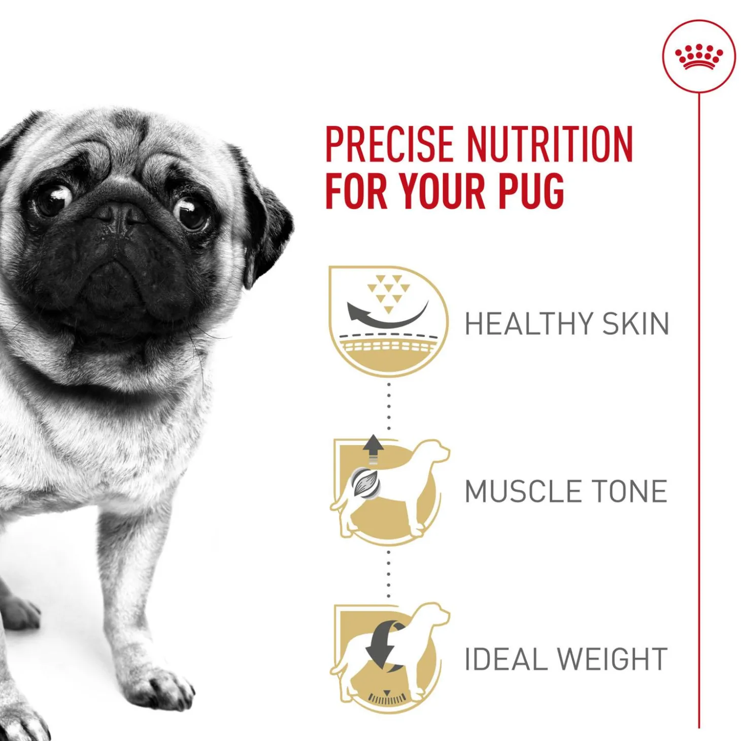 Breed Health Nutrition Pug Adult Dog Food