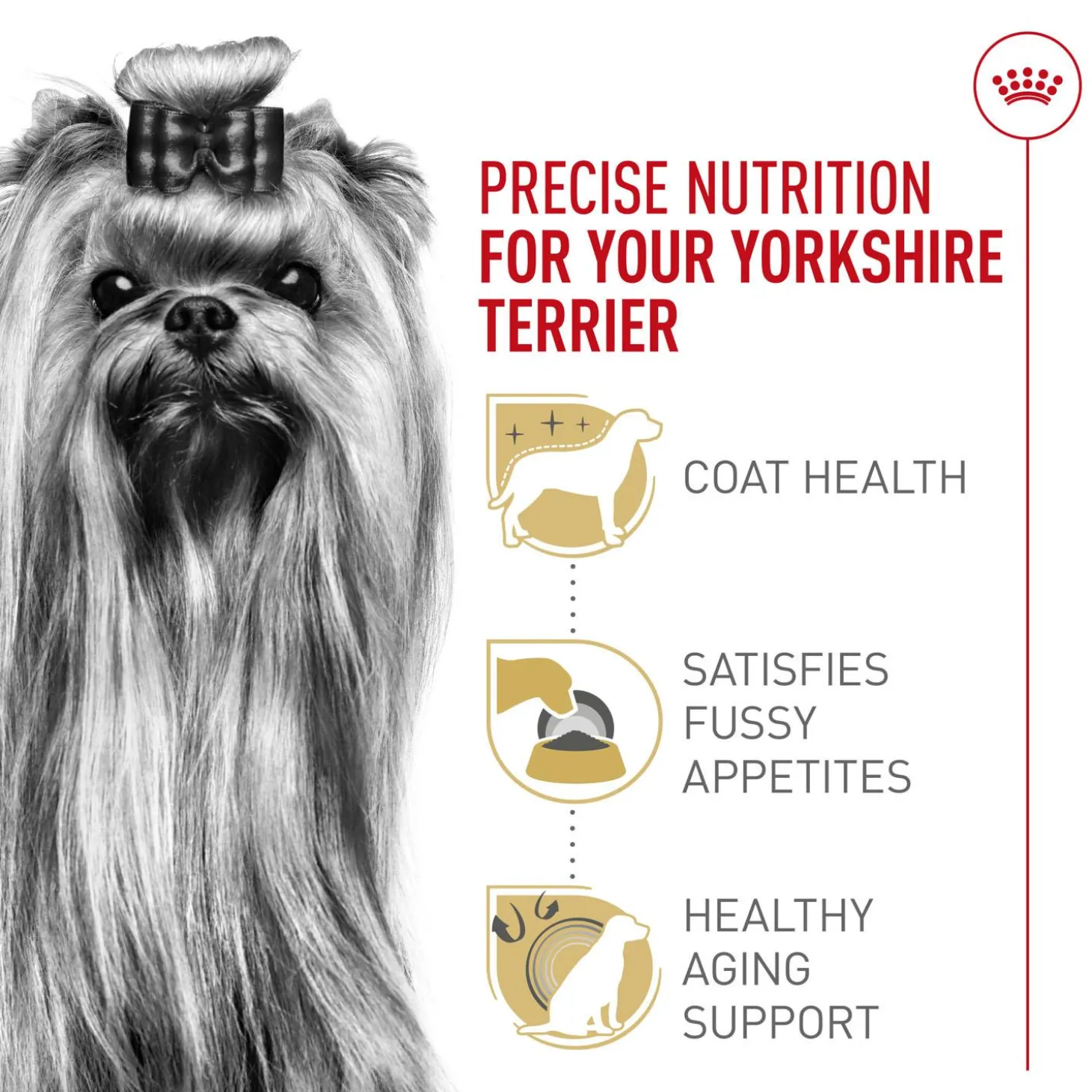 Breed Health Nutrition Yorkshire Terrier Adult Dog Food