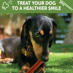 Brushzees X-Small Chews Dog Treats