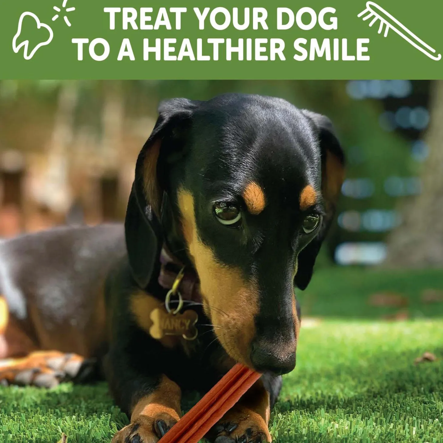 Brushzees X-Small Chews Dog Treats