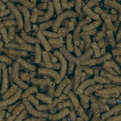 Bug Bites Insect Larvae Pleco Formula Fish Food