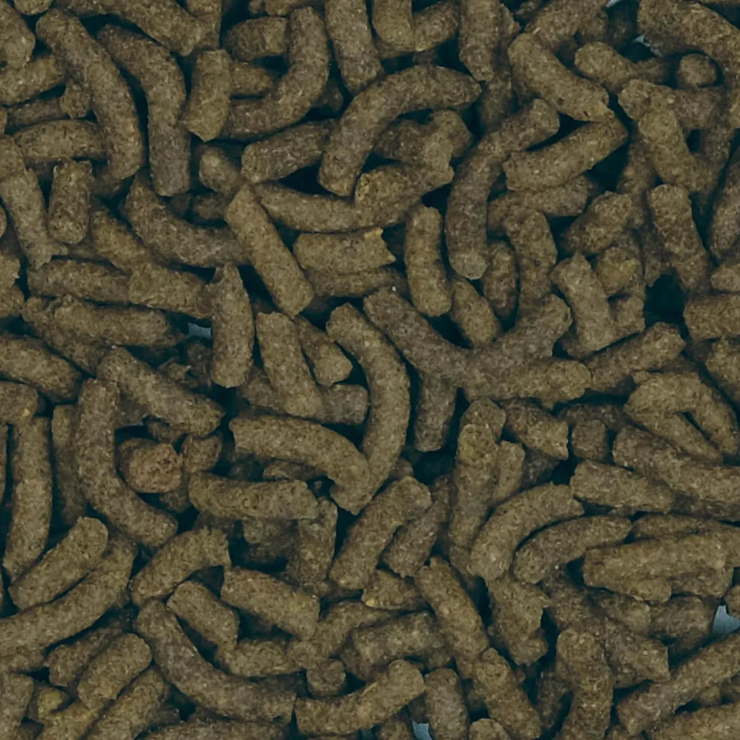 Bug Bites Insect Larvae Pleco Formula Fish Food