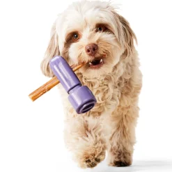 Bully Stick Holder Dog Toy