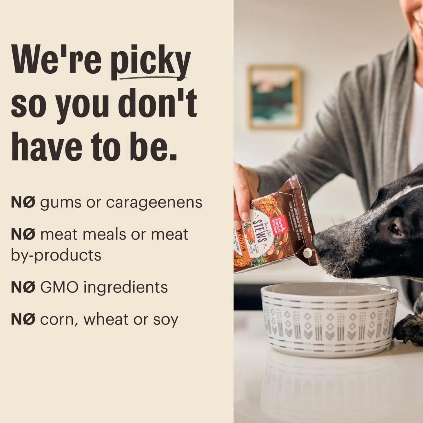 Butcher Block Turkey & Autumn Veggies Pate Dog Food