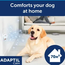 Calm 30 Day Diffuser Refill