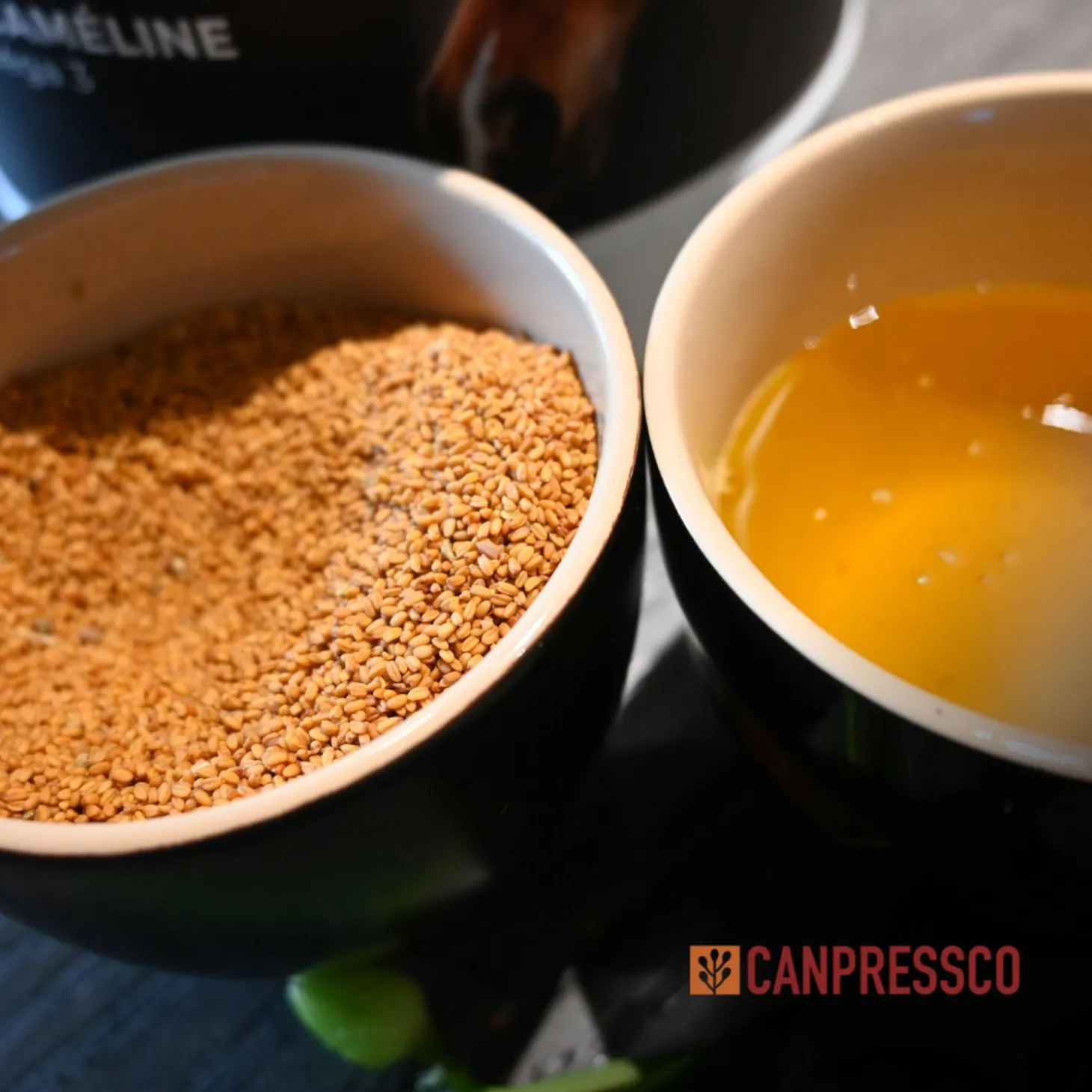 Camelina Oil Dog Supplement