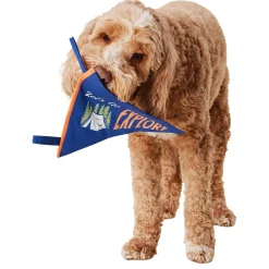 Camp Penant Dog Toy