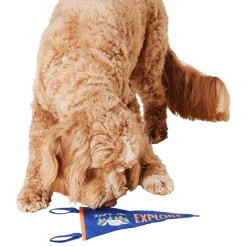 Camp Penant Dog Toy