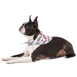 Canadian Cutie Bandana