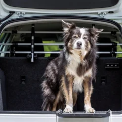 Car Dog Grid with Head Rest