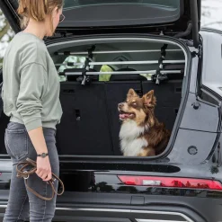 Car Dog Grid with Head Rest