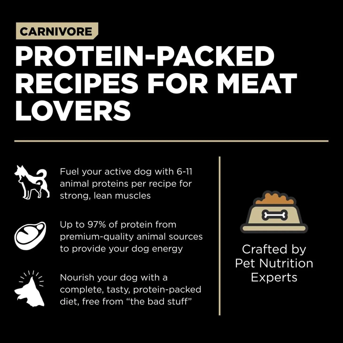 Carnivore Grain-Free Lamb + Wild Boar Recipe Dog Food