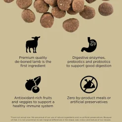 Carnivore Grain-Free Lamb + Wild Boar Recipe Dog Food