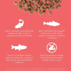 Carnivore Grain-Free Salmon + Cod Recipe Cat Food