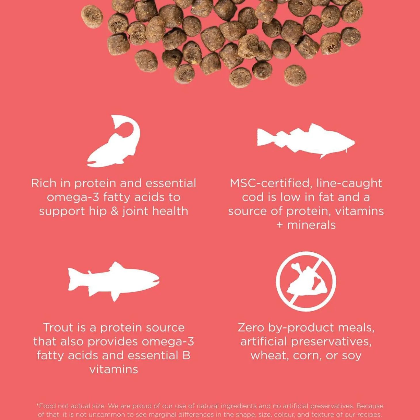 Carnivore Grain-Free Salmon + Cod Recipe Cat Food