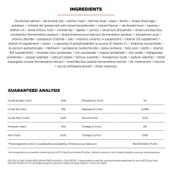 Carnivore Grain-Free Salmon + Cod Recipe Cat Food