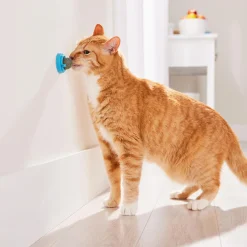 Catnip Ball with Holder Cat Toy