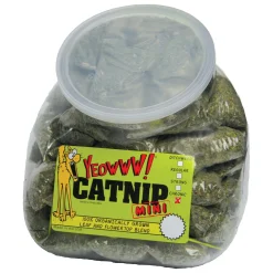 Catnip Mini