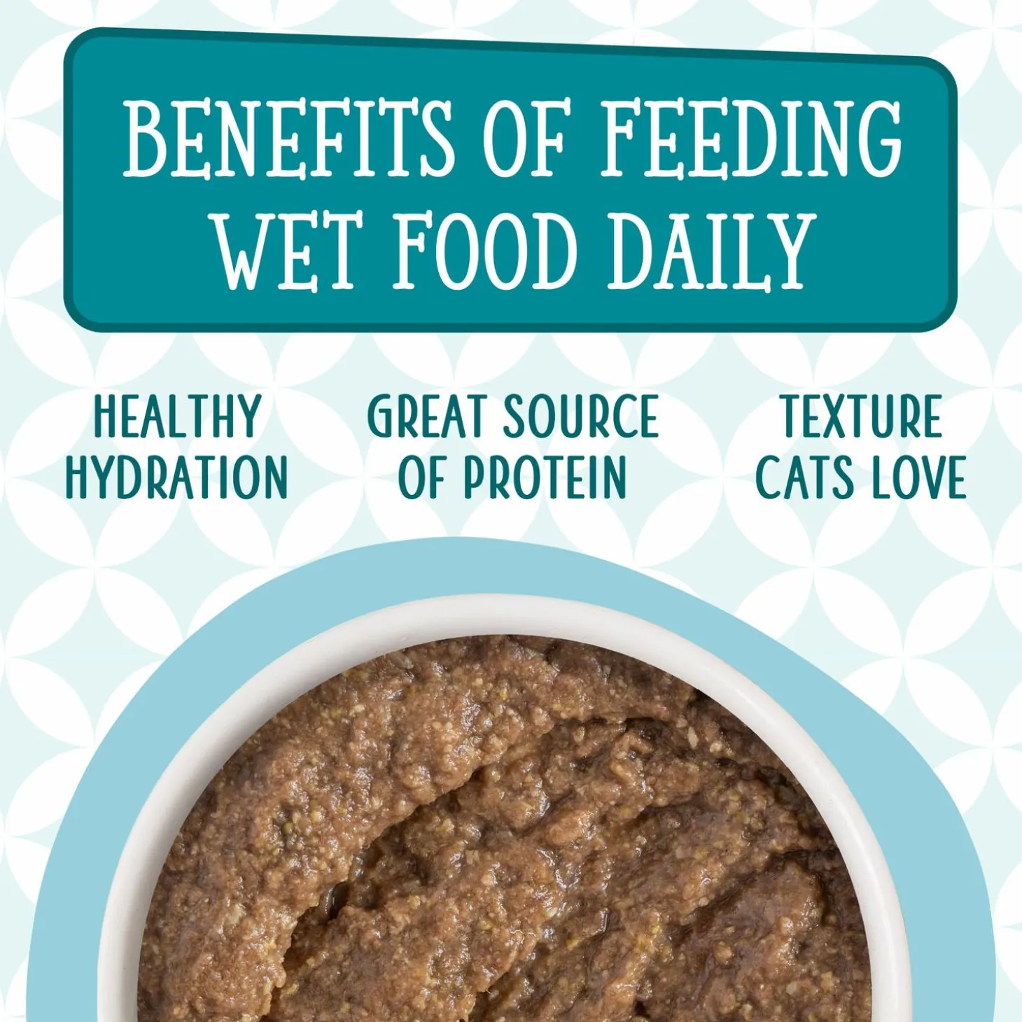 Cats in the Kitchen Cat Times at Fridgemont Duck & Tuna Dinner Adult Cat Food