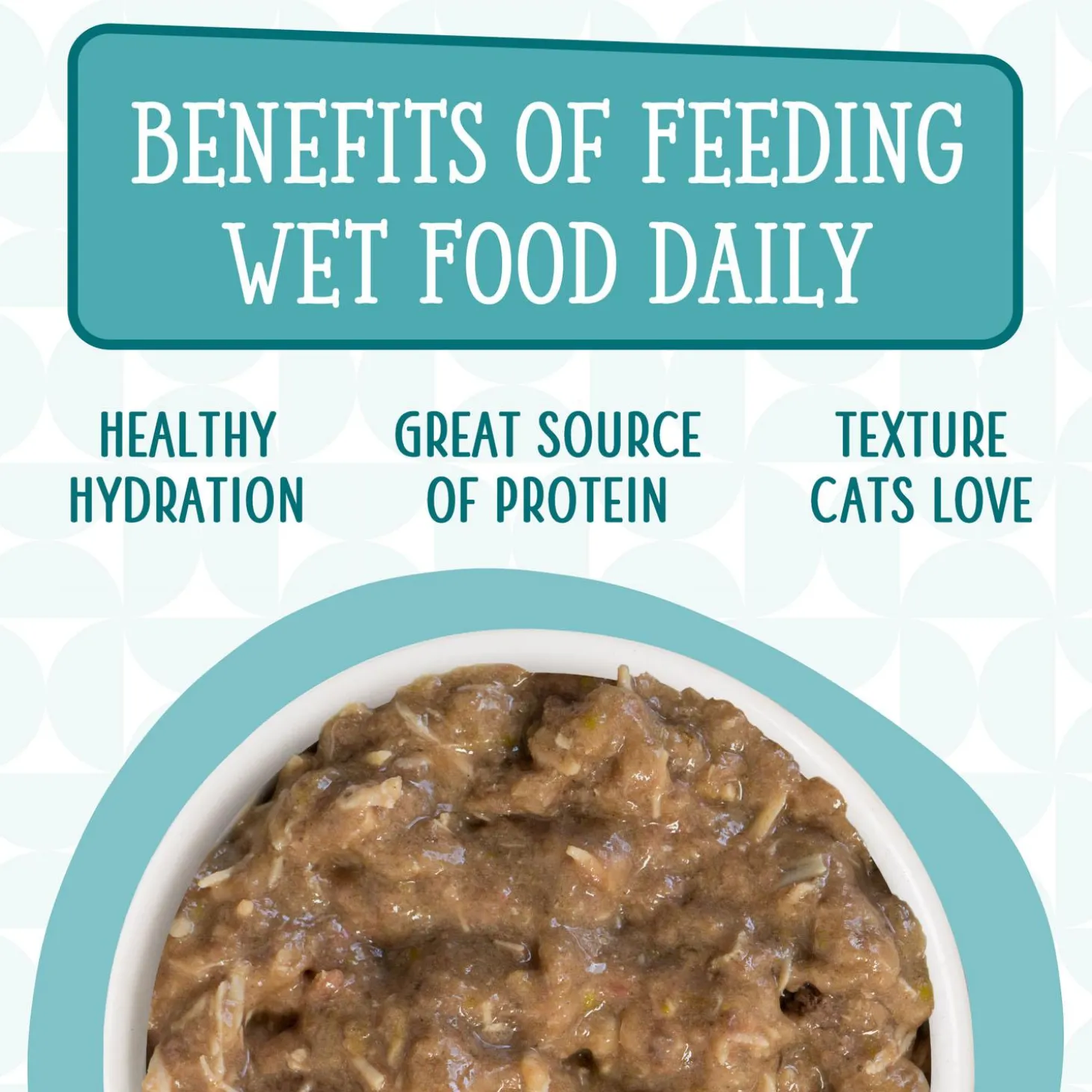 Cats in the Kitchen Funk in the Trunk Chicken Recipe in Pumpkin Adult Cat Food