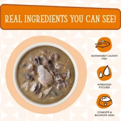 Cats in the Kitchen Pumpkin Jack Splash Tuna in Pumpkin Soup Recipe Adult Cat Food