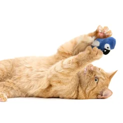 Chatty Chirp Cat Toy