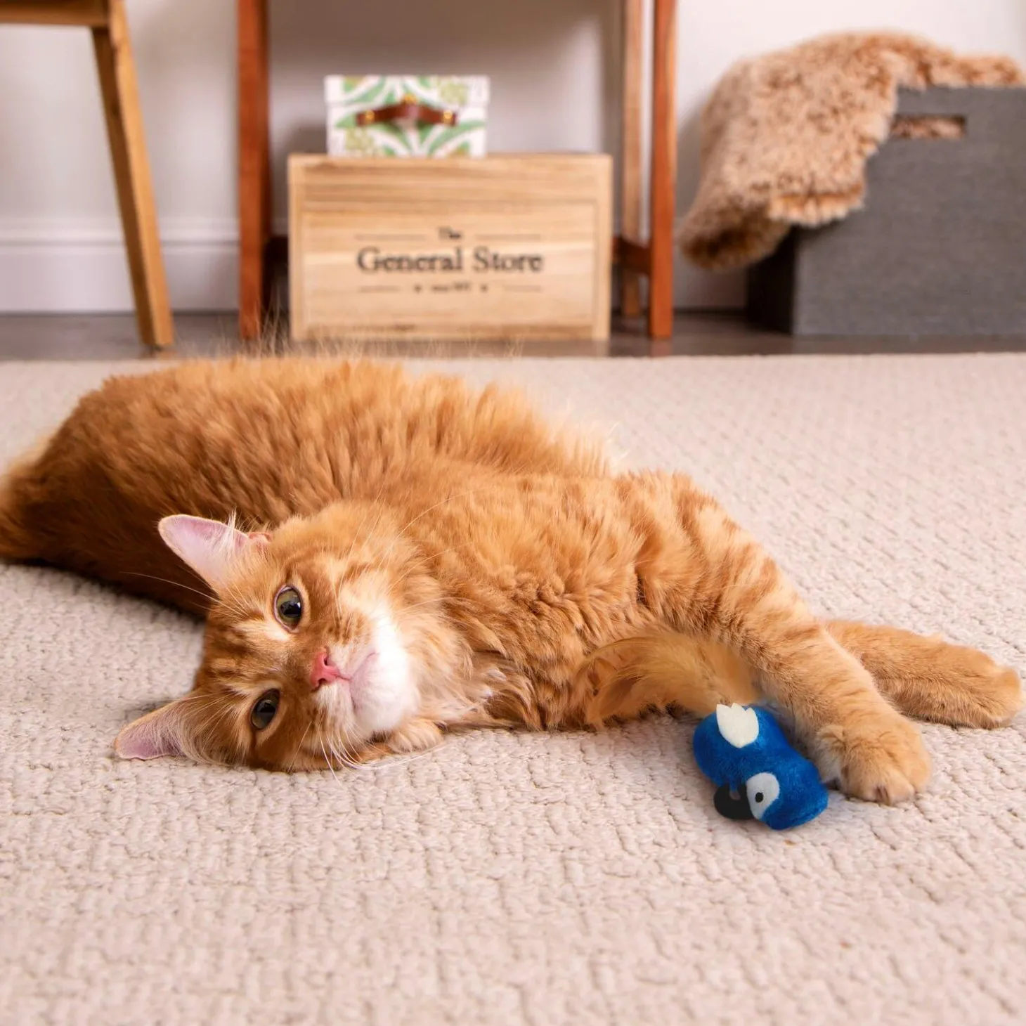 Chatty Chirp Cat Toy