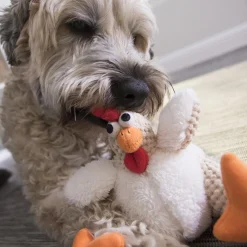 Checkers Fat Rooster White Dog Toy