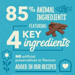 Chewy Strips Skin Coat & Digestive Support Salmon Recipe Dog Treats