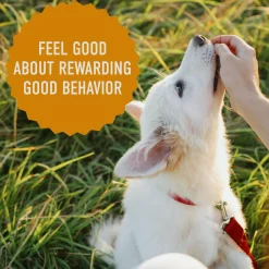 Chewy with Cheddar Dog Treats