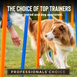 Chewy with Salmon Dog Treats