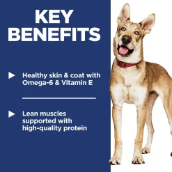 Chicken & Barley Recipe Adult Dog Food