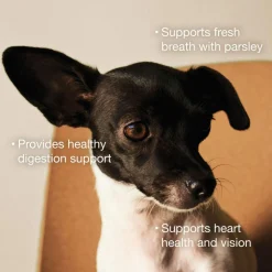 Chicken & Broth Blend Shredded Small Breed Dog Food