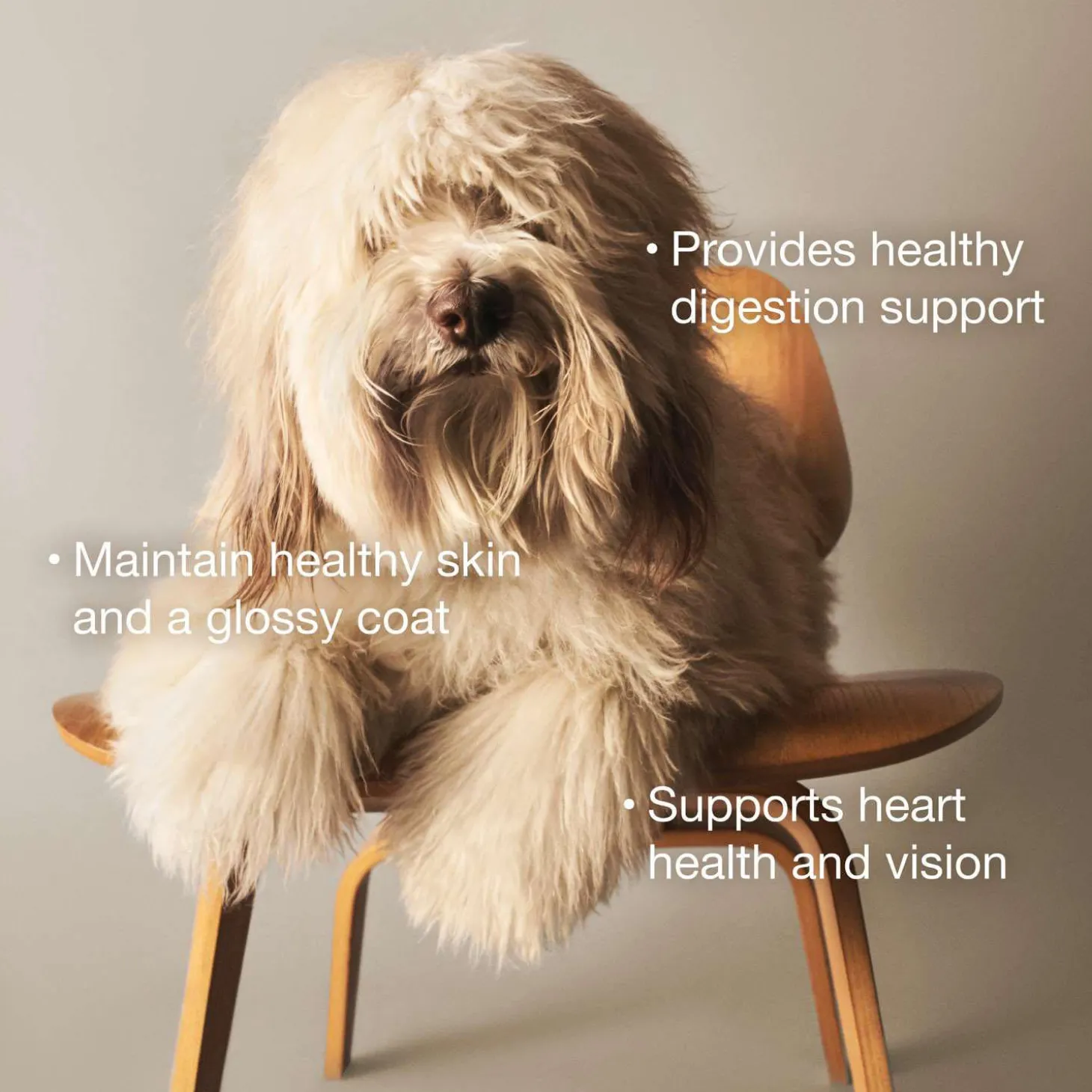 Chicken & Rice Dinner Dog Food