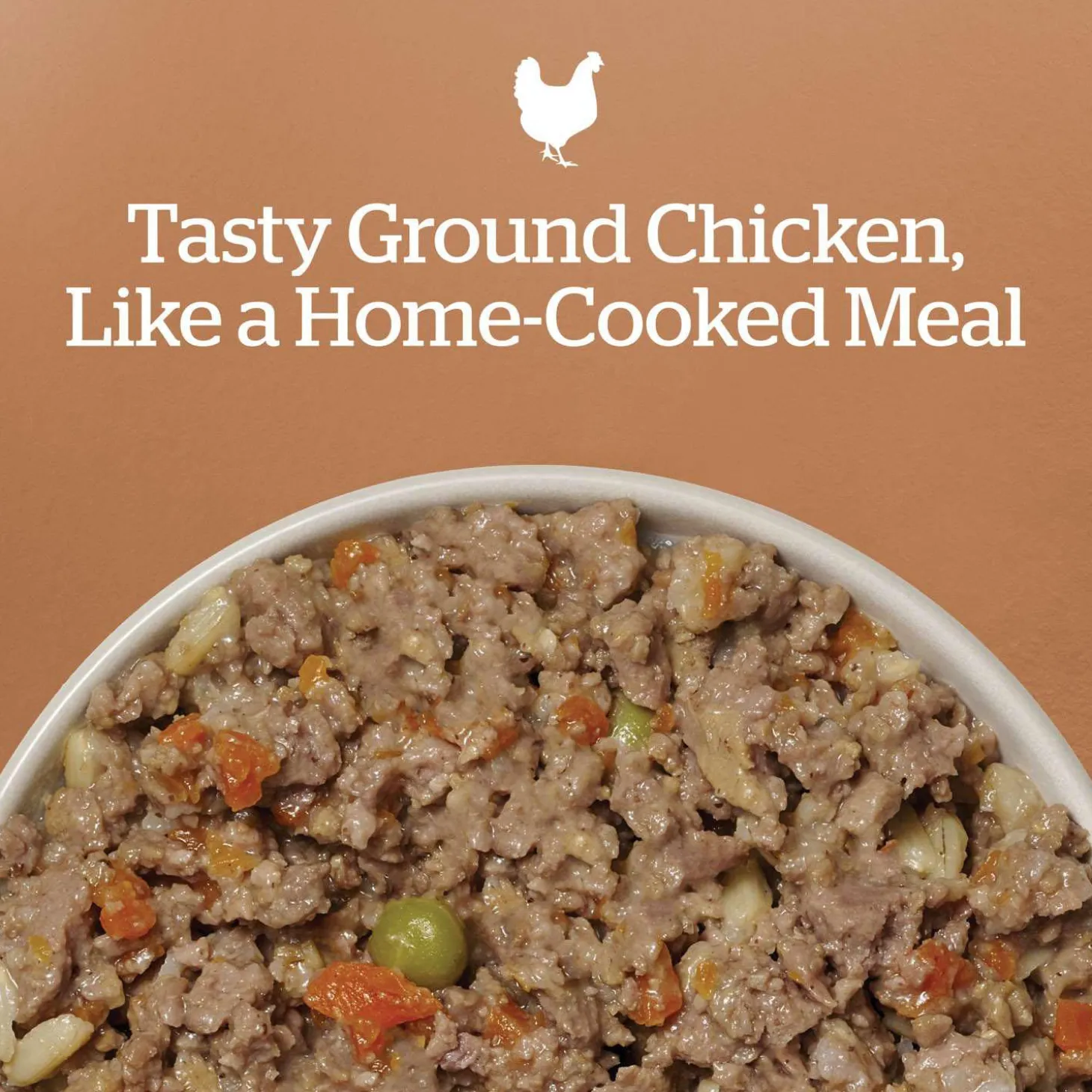 Chicken & Rice Dinner Dog Food