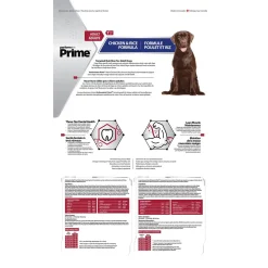 Chicken & Rice Formula Adult Dog Food