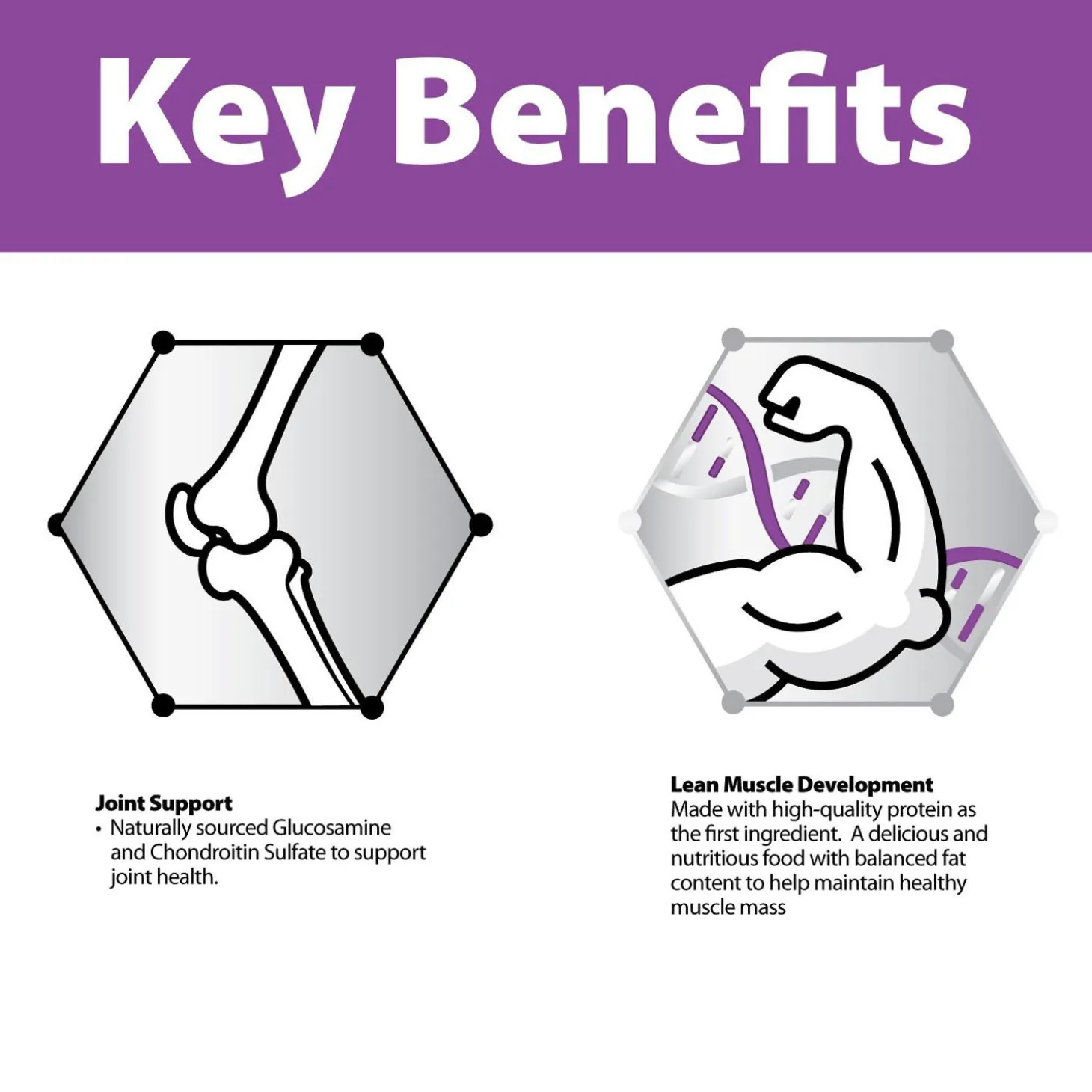 Chicken & Rice Formula Small Breed Senior Dog Food