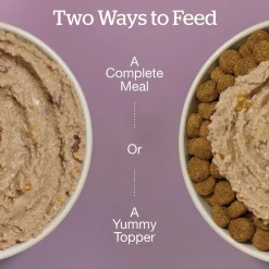 Chicken & Salmon Pate Senior Dog Food