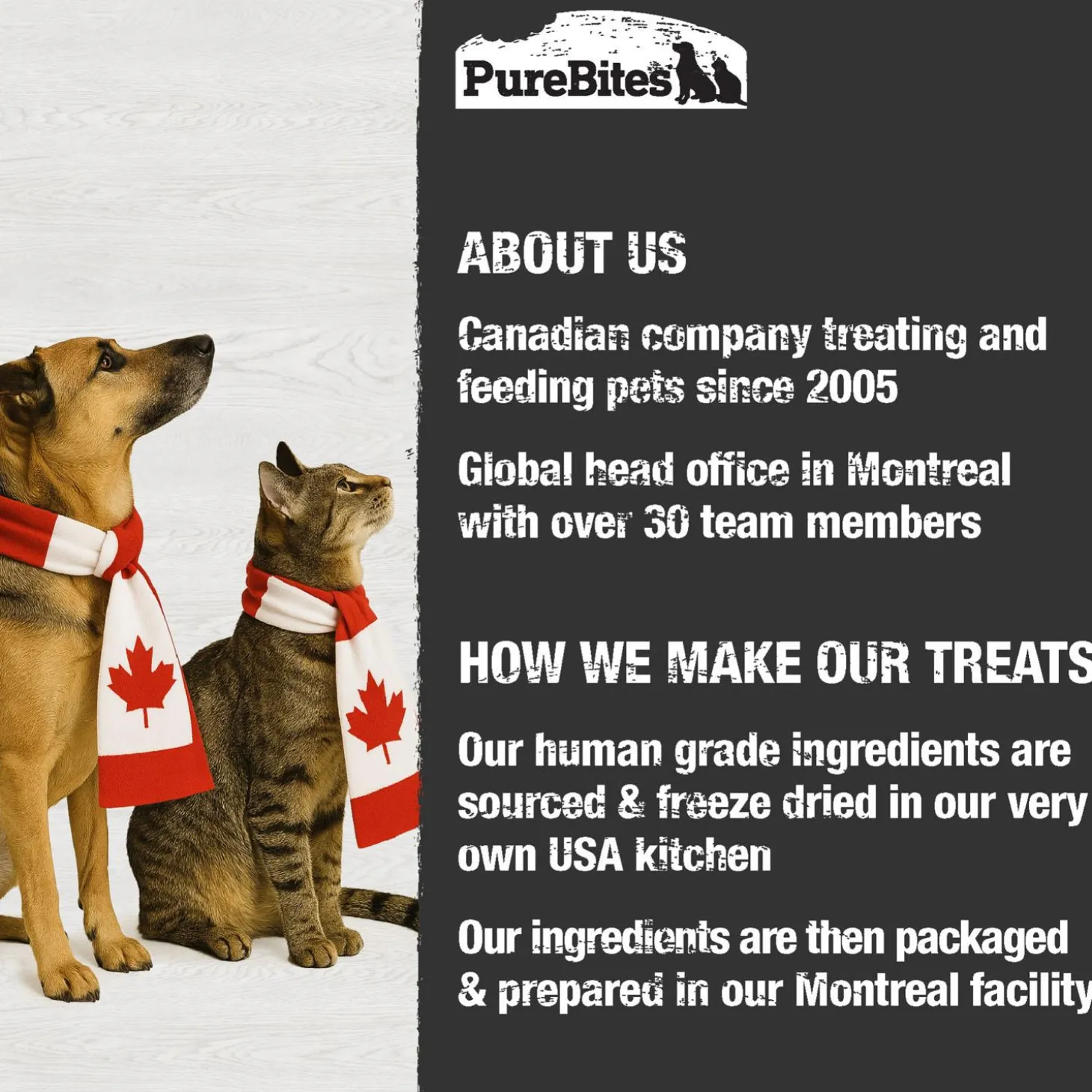 Chicken Breast Cat Treats