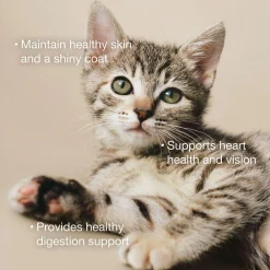 Chicken, Duck & Broth Blend Shredded Grain-Free Cat Food