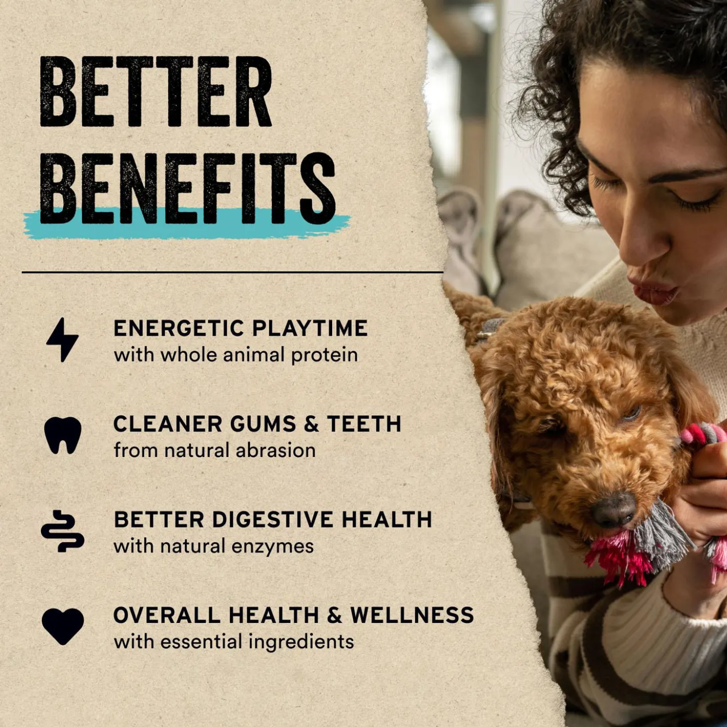 Chicken Entree Mini Nibs Dog Food