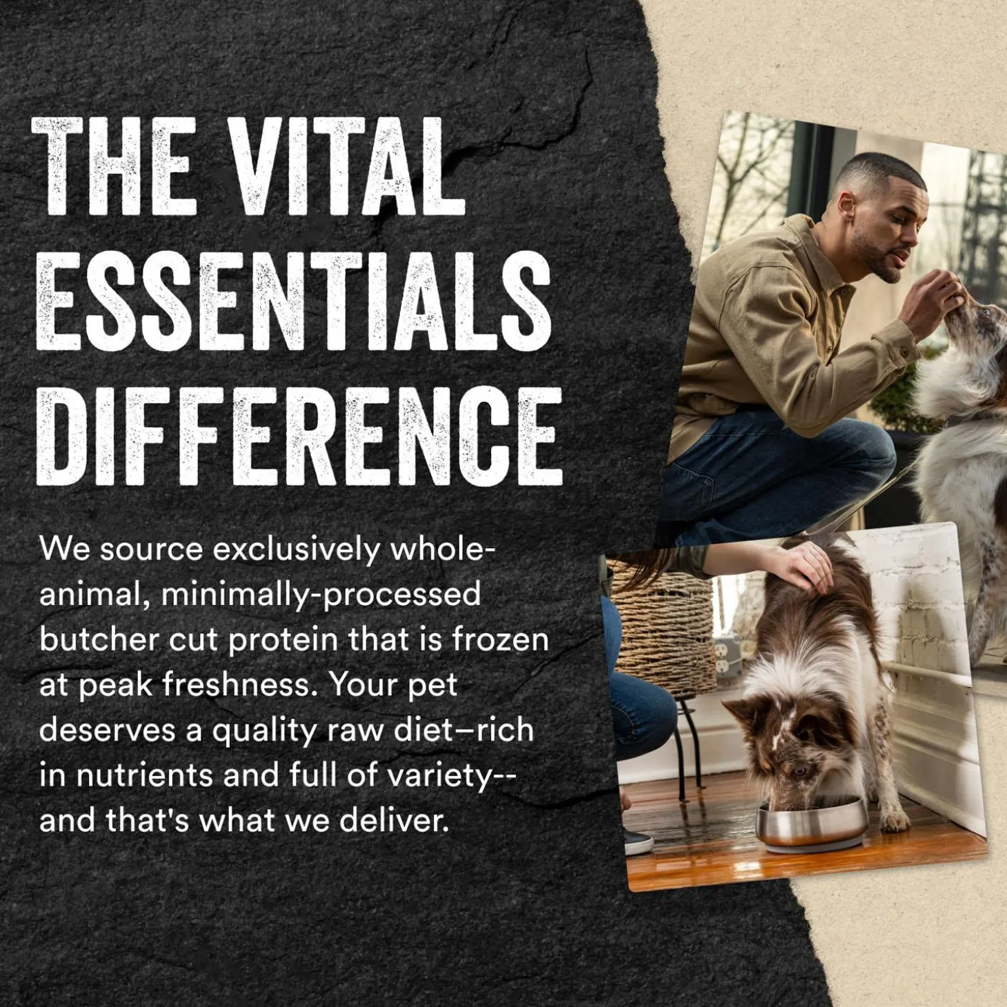 Chicken Entree Mini Nibs Dog Food