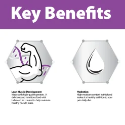 Chicken Formula Pate Senior Dog Food