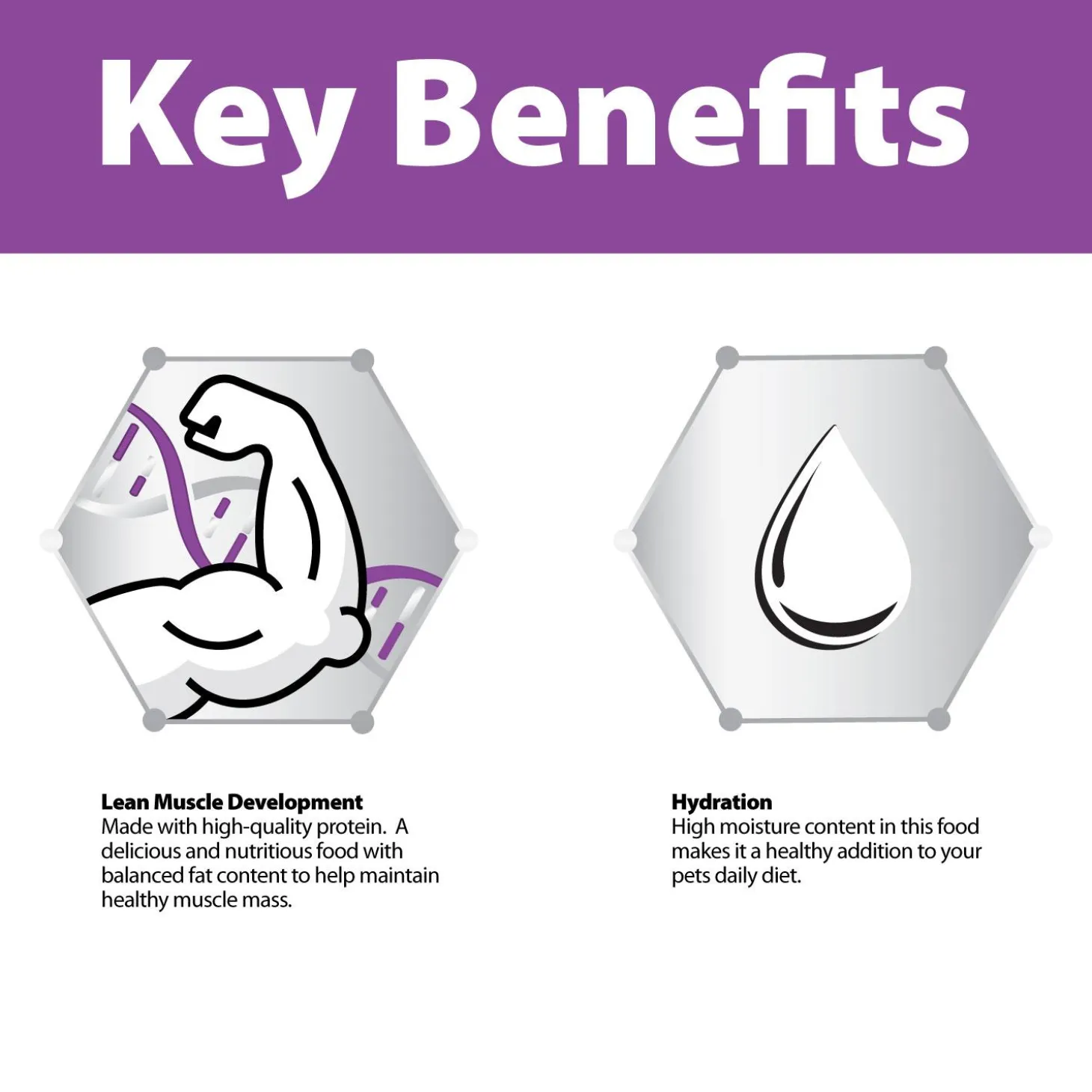 Chicken Formula Pate Senior Dog Food