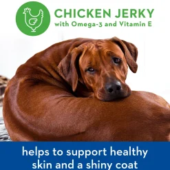 Chicken Jerky Skin + Coat Dog Treats