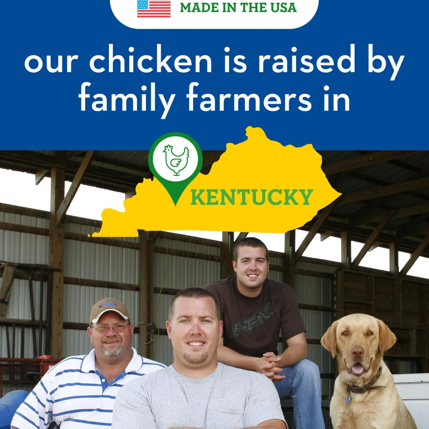 Chicken Jerky Skin + Coat Dog Treats