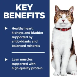 Chicken Recipe Adult 7+ Cat Food